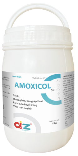 AMOXICOL 50