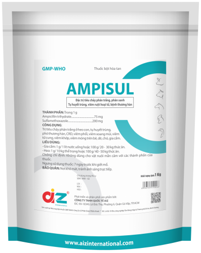 AMPISUL