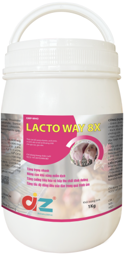 LACTO WAY 8X