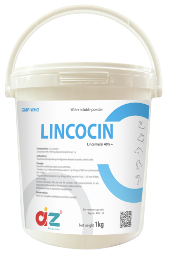 LINCOCIN